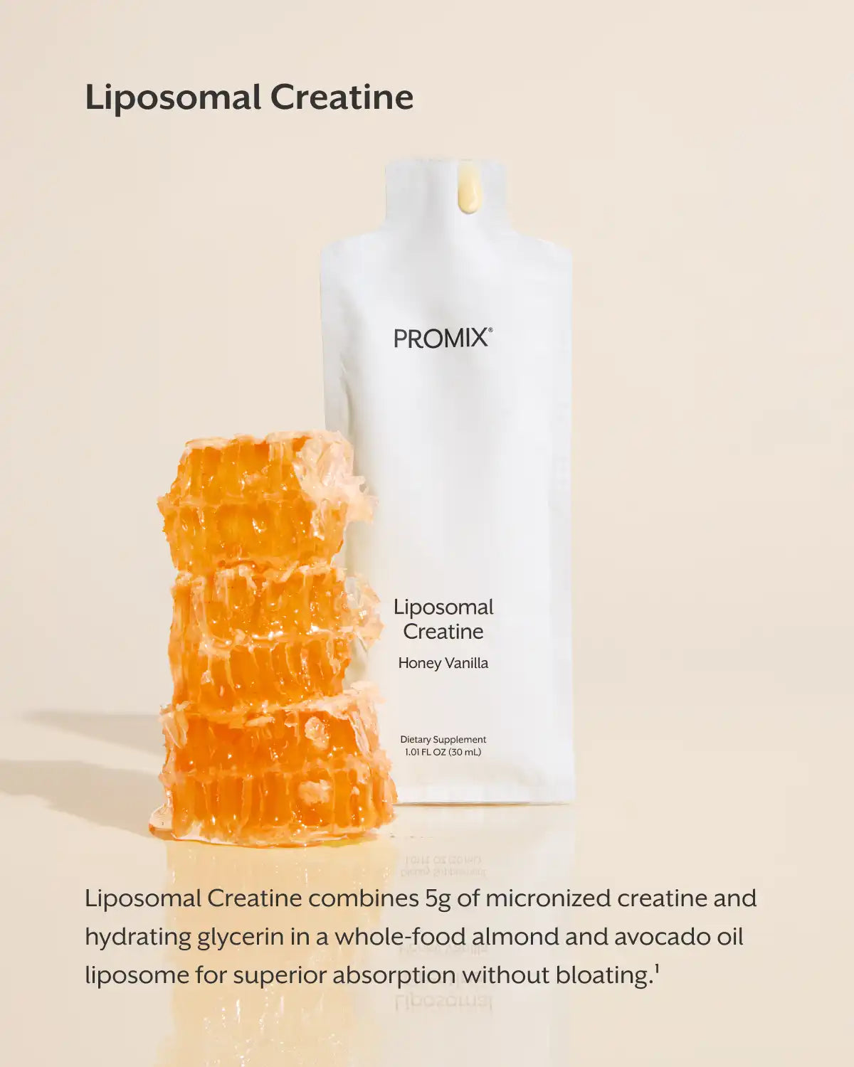 Liposomal Bundle